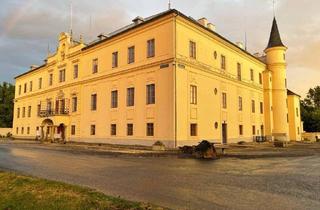 Immobilie mieten in Schloss Hubertendorf, 3372 Blindenmarkt, Kunsthandwerk/Bürostandort/Atelier im Schloss Hubertendorf