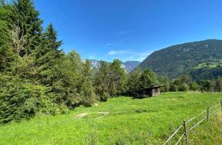 Gewerbeimmobilie kaufen in 6432 Sautens, Wiese im vorderen Ötztal