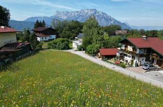 Grundstück zu kaufen in 5412 Sankt Jakob am Thurn, Grundstück mit variabler Größe!