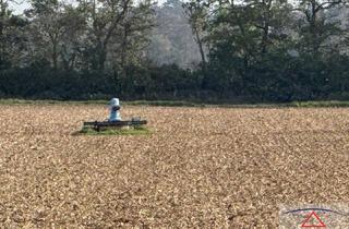 Gewerbeimmobilie kaufen in 2232 Deutsch-Wagram, Schöner ebener Acker mit Brunnen!