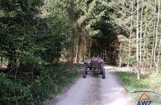 Gewerbeimmobilie kaufen in 3124 Oberwölbling, Schöner Wald!