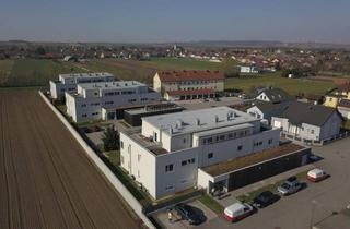 Wohnung mieten in Bachg. 361/B/5, 2181 Dobermannsdorf, Geförderte 3-Zimmer Wohnung in Miete mit Kaufoption | ca. 87 m² | 1. Obergeschoss | Loggia