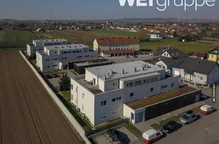Wohnung mieten in Bachg. 361/B/5, 2181 Dobermannsdorf, Geförderte 3-Zimmer Wohnung in Miete mit Kaufoption | ca. 87 m² | 1. Obergeschoss | Loggia