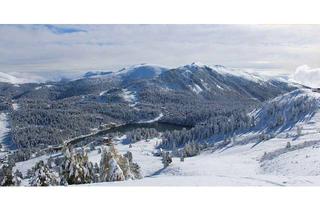 Haus kaufen in 9565 Turracherhöhe, Ferienhaus im Zirbenwald - Turracher Höhe!