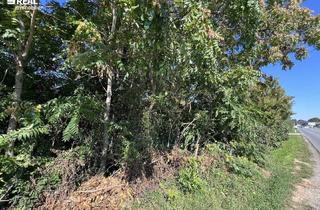 Grundstück zu kaufen in 2230 Gänserndorf, Baugrundstück in Top-Lage – perfekt für Familien