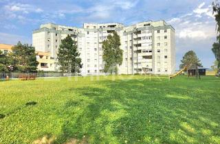 Wohnung kaufen in 4481 Asten, Wohnen im Grünen mit Loggia, 4 Schlafzimmer nahe Ausee in Asten