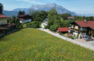 Grundstück zu kaufen in 5412 Sankt Jakob am Thurn, Grundstück mit variabler Größe!