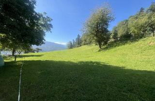 Grundstück zu kaufen in Friedhof, Kindergarten, 8712 Proleb, Einmalige Gelegenheit: Traumgrundstück am Südhang mit Panoramablick - 2,4 ha Bau- & Bauerwartungsland in Proleb/Leoben