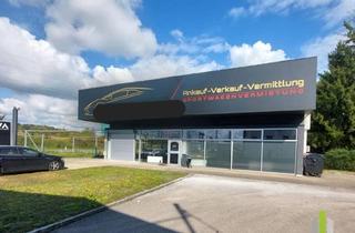 Immobilie kaufen in 4800 Attnang-Puchheim, Top Gewerbestandort in stark frequentierter Lage