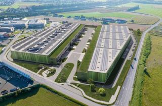 Lager mieten in Ennshafenstraße, 4470 Enns, Panattoni Park Ennshafen - anmietbar ab ca. 2.500 m²