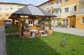 Wohnung mieten in 2201 Gerasdorf, 2 Zimmer in wunderschöner Wohnhausanlage am Stadtrand zu Wien