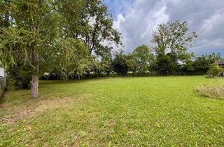 Grundstück zu kaufen in 4600 Wels, Ruhig gelegenes Baugrundstück am Stadtrand von Wels zu verkaufen