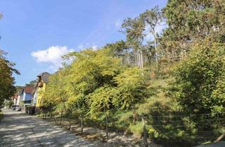 Grundstück zu kaufen in 2560 Berndorf, Zwei bebaubare Grundstücke in Berndorf in guter Lage!