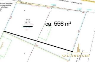 Grundstück zu kaufen in 7033 Pöttsching, Ebenes Grundstück im Pannonischem Klima