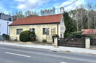 Haus kaufen in Hauptstraße, 2412 Wolfsthal, Platzwunder mit großem Grundstück und vielen Nebenflächen – voller Möglichkeiten