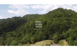 Gewerbeimmobilie kaufen in 9081 Reifnitz, Wunderschöner Wald in unmittelbarer Nähe zum Wörthersee!