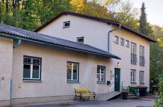 Haus kaufen in 2650 Payerbach, Attraktives Eigenheim und Praxis unter einem Dach – naturnahes Wohnen und Arbeiten in zentraler Lage von Payerbach