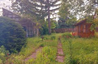 Haus kaufen in 2432 Schwadorf, Einmalige Chance für Handwerker 20 min von Wien entfernt! Großes Grundstück!