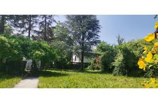 Grundstück zu kaufen in 2601 Sollenau, Preisreduktion! SOMMERGENUSS IM GARTEN - VERKEHRSBERUHIGTE LAGE