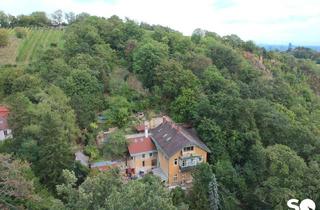 Villen zu kaufen in 1190 Wien, #SQ - ALTBAU VILLA IN ABSOLUTER EINZIGARTIGER RUHELAGE