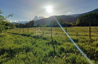 Immobilie kaufen in 2732 Willendorf, Gartenflächen am Ortsrand von Willendorf mit Grünblick 19,50 per m²