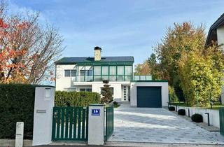 Haus kaufen in Perlenstraße 16, 4470 Enns, Exklusives Wohnhaus in Enns mit Pool, Outdoorküche und Wintergarten zu verkaufen