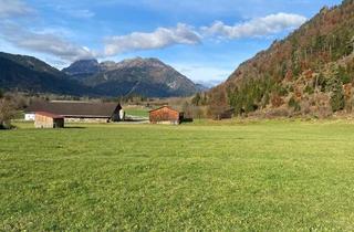Grundstück zu kaufen in 9620 Sankt Lorenzen im Gitschtal, Großzügige Baufläche in St. Lorenzen im Gitschtal - sonnig, ruhig, mit Weitblick