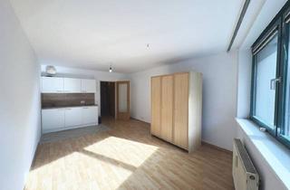 Wohnung mieten in Markhofgasse 1-9/305, 1030 Wien, Gemütliche Einraumwohnung, direkt bei U3 Schlachthausgasse!