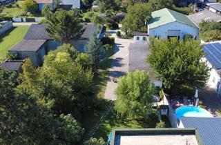 Haus kaufen in 2472 Prellenkirchen, WOHNEN & ARBEITEN - Einzigartiges Wohn- und Geschäftsanwesen mit Garten & Nebengebäuden