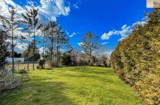 Grundstück zu kaufen in 2322 Zwölfaxing, Großzügiges Mehrfamiliengrundstück – Raum für Ihre Zukunft!