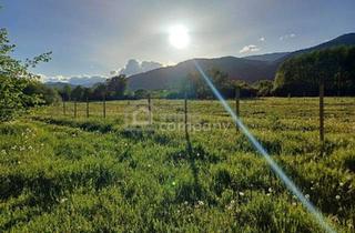 Gewerbeimmobilie kaufen in 2732 Würflach, Gartenflächen am Ortsrand von Willendorf mit Grünblick 19,50 per m²
