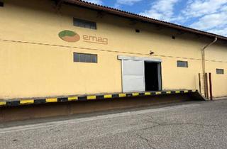 Gewerbeimmobilie kaufen in 9020 Klagenfurt, Lagerhalle am Klagenfurter Frachtenbahnhof