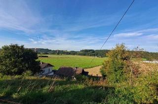 Grundstück zu kaufen in 5233 Pischelsdorf am Engelbach, Hanggrundstück in ruhiger Lage