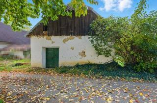 Gewerbeimmobilie kaufen in 2061 Hadres, Revitalisieren und Gestalten nach eigenen Ideen: Weinkeller und Garten im Einklang mit der Natur!
