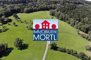 Gewerbeimmobilie kaufen in 3251 Purgstall, 10 ha Grünland und Forstwirtschaftsflächen in Feichsen