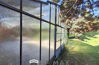 Gewerbeimmobilie mieten in Breitenleer Straße, 1220 Wien, "Wien-Breitenlee - Pacht-Eck-Grundstück in frequentierter Lage"