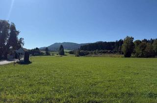 Grundstück zu kaufen in Stocklitz, Oberglan 00, 9560 Feldkirchen in Kärnten, Sonnige Baugründe in Feldkirchen in Kärnten Top Lage