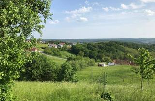 Gewerbeimmobilie kaufen in Mogersdorf, 8382 Mogersdorf, Großes Grundstück mit Altbestand (Winzerhaus) in schöner Ruhelage im Dreiländereck Österreich/Slowenien/Ungarn