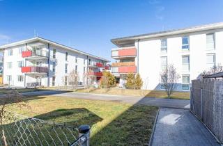Wohnung mieten in Herzog-Park 114, 2823 Pitten, BETREUTES WOHNEN: Gartenwohnung in ruhiger Lage