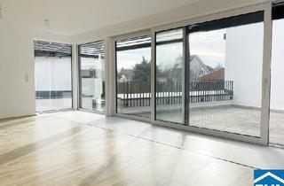 Reihenhaus kaufen in Leopold-Loibl-Straße, 2100 Korneuburg, Eckreihenhaus ein Architekturjuwel in Ziegelmassivbauweise