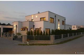 Haus kaufen in 2604 Theresienfeld, Koffer packen und einziehen.
