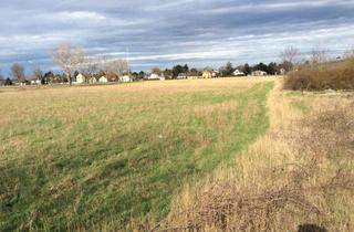 Grundstück zu kaufen in Hänischgasse, 1220 Wien, 8 Minuten zur U2 - Bebaubares Landwirtschafts-Grundstück für Investoren und Private