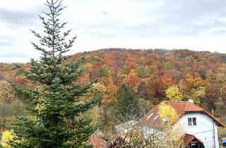 Grundstück zu kaufen in 3001 Mauerbach, WOHNEN IM GRÜNEN - SONNIGES GRUNDSTÜCK AM RANDE DES WIENERWALDES!