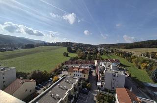 Wohnung mieten in Hauptstraße 119, 3021 Pressbaum, Sanierte 3-Zimmerwohnung mit Fernblick - PRESSBAUM