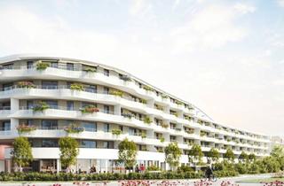 Wohnung kaufen in Salzerstraße 49, 3100 Sankt Pölten, ST. PÖLTEN XXIV/1, freifinanzierte Mietwohnung mit Kaufoption, TOP 241, 1000/00011721/00001241