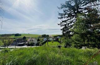 Grundstück zu kaufen in 2123 Hautzendorf, LANDLEBEN mit Aussicht! Baugrund mit Altbestand 22 km von Wien!