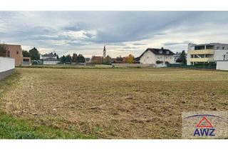 Grundstück zu kaufen in 4614 Marchtrenk, Herrlicher, großer Baugrund in Zentrumslage von Marchtrenk!