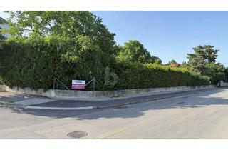 Grundstück zu kaufen in 7072 Mörbisch am See, AUFGESCHLOSSEN - SONNIGES, EBENES ECKGRUNDSTÜCK MIT ALTBAUMBESTAND