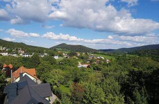 Einfamilienhaus kaufen in Johannesbachgasse, 2733 Grünbach am Schneeberg, Entkerntes Einfamilienhaus auf 3 Etagen – Fernblick inklusive!