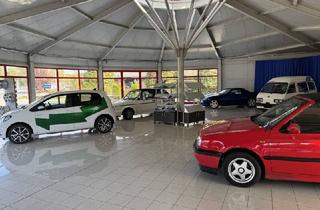 Geschäftslokal mieten in 8472 Straß in Steiermark, Gepflegte Auto-Verkaufshalle plus Freifläche in guter Lage